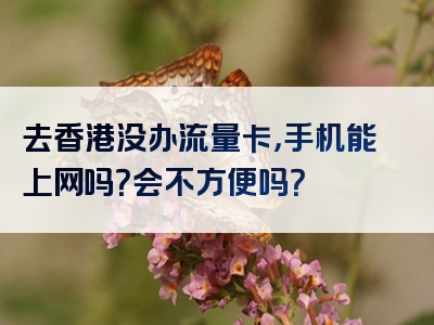 去香港没办流量卡，手机能上网吗？会不方便吗？