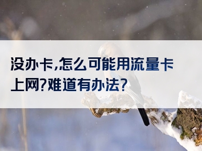 没办卡，怎么可能用流量卡上网？难道有办法？
