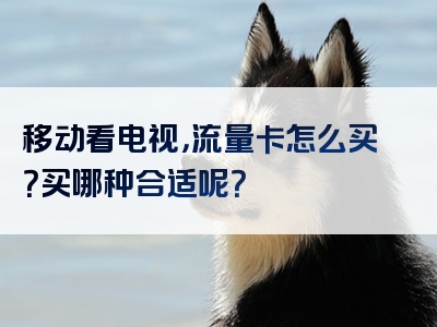 移动看电视，流量卡怎么买？买哪种合适呢？