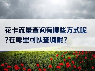 花卡流量查询有哪些方式呢？在哪里可以查询呢？