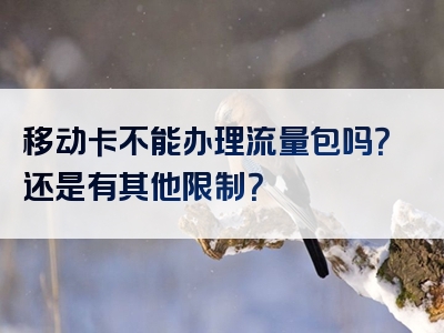 移动卡不能办理流量包吗？还是有其他限制？