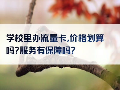 学校里办流量卡，价格划算吗？服务有保障吗？