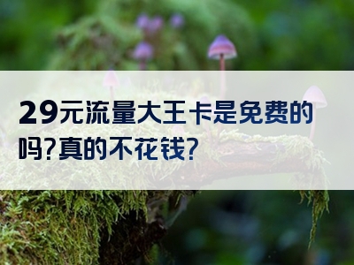 29元流量大王卡是免费的吗？真的不花钱？