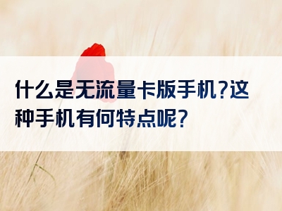 什么是无流量卡版手机？这种手机有何特点呢？