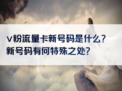 v粉流量卡新号码是什么？新号码有何特殊之处？