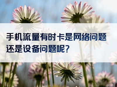 手机流量有时卡是网络问题还是设备问题呢？