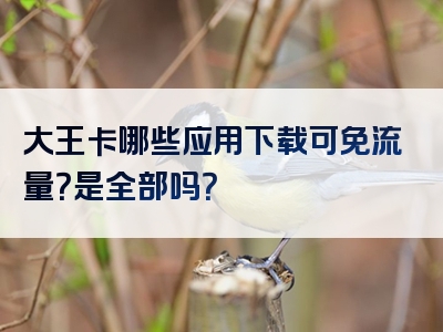 大王卡哪些应用下载可免流量？是全部吗？