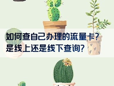 如何查自己办理的流量卡？是线上还是线下查询？