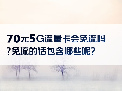 70元5G流量卡会免流吗？免流的话包含哪些呢？