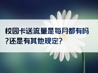 校园卡送流量是每月都有吗？还是有其他规定？