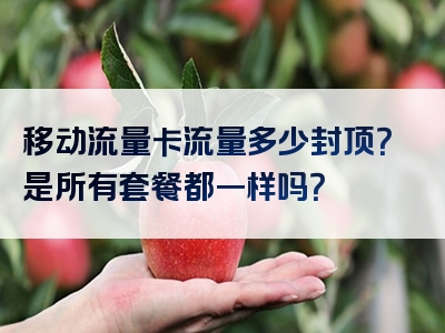 移动流量卡流量多少封顶？是所有套餐都一样吗？