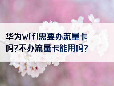华为wifi需要办流量卡吗？不办流量卡能用吗？