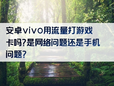 安卓vivo用流量打游戏卡吗？是网络问题还是手机问题？