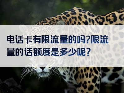 电话卡有限流量的吗？限流量的话额度是多少呢？