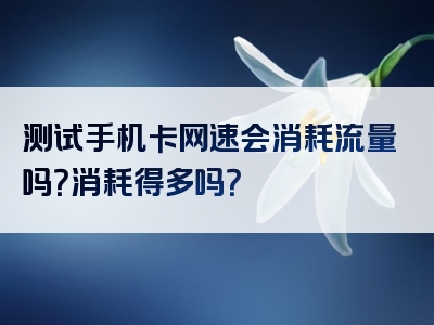 测试手机卡网速会消耗流量吗？消耗得多吗？