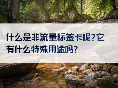 什么是非流量标签卡呢？它有什么特殊用途吗？