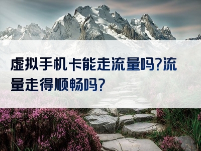 虚拟手机卡能走流量吗？流量走得顺畅吗？