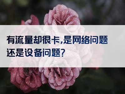 有流量却很卡，是网络问题还是设备问题？