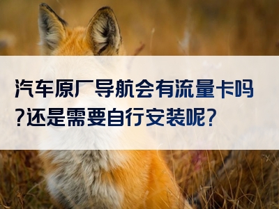 汽车原厂导航会有流量卡吗？还是需要自行安装呢？