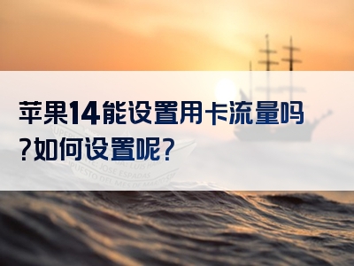 苹果14能设置用卡流量吗？如何设置呢？