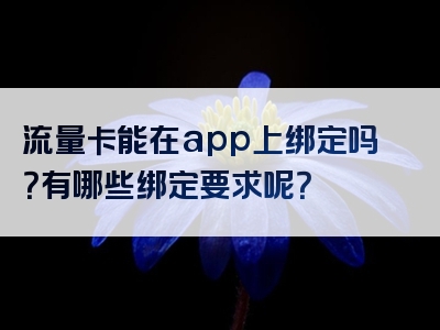 流量卡能在app上绑定吗？有哪些绑定要求呢？