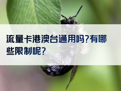 流量卡港澳台通用吗？有哪些限制呢？