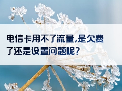 电信卡用不了流量，是欠费了还是设置问题呢？
