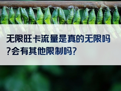 无限旺卡流量是真的无限吗？会有其他限制吗？