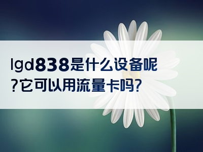 lgd838是什么设备呢？它可以用流量卡吗？