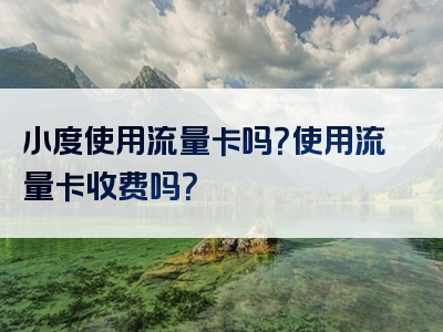 小度使用流量卡吗？使用流量卡收费吗？