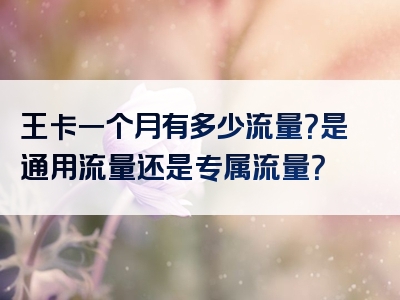 王卡一个月有多少流量？是通用流量还是专属流量？