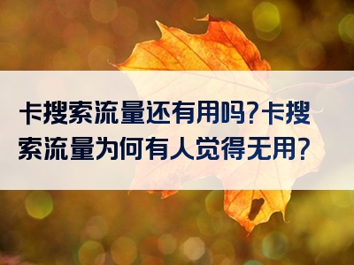 卡搜索流量还有用吗？卡搜索流量为何有人觉得无用？