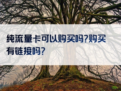 纯流量卡可以购买吗？购买有链接吗？