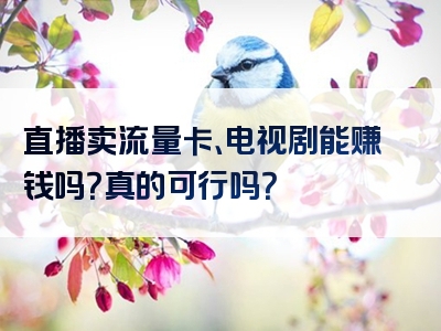 直播卖流量卡、电视剧能赚钱吗？真的可行吗？