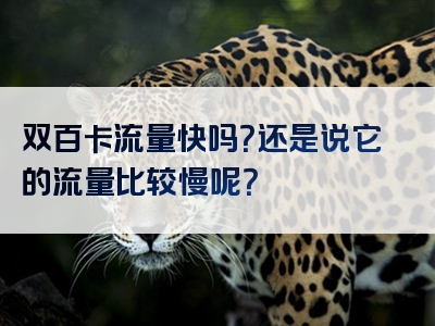 双百卡流量快吗？还是说它的流量比较慢呢？