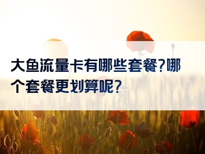 大鱼流量卡有哪些套餐？哪个套餐更划算呢？