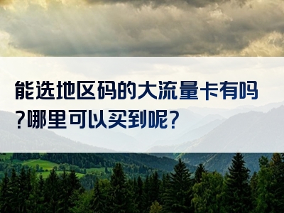 能选地区码的大流量卡有吗？哪里可以买到呢？