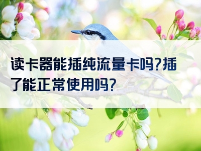 读卡器能插纯流量卡吗？插了能正常使用吗？