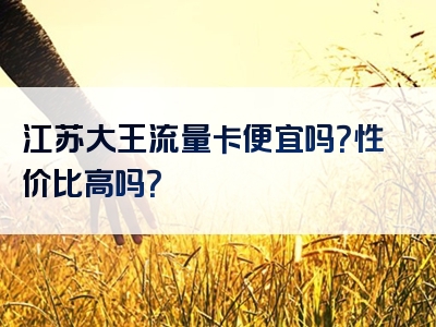 江苏大王流量卡便宜吗？性价比高吗？