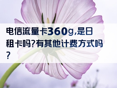 电信流量卡360g，是日租卡吗？有其他计费方式吗？