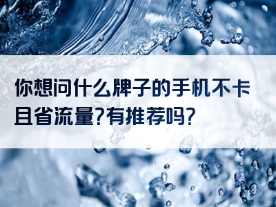 你想问什么牌子的手机不卡且省流量？有推荐吗？