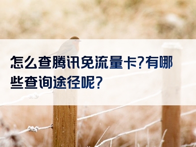 怎么查腾讯免流量卡？有哪些查询途径呢？