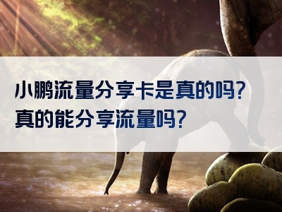 小鹏流量分享卡是真的吗？真的能分享流量吗？