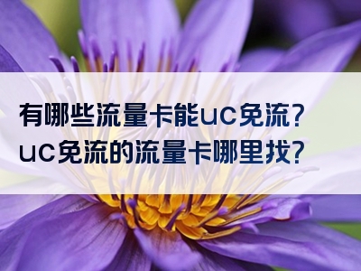 有哪些流量卡能uc免流？uc免流的流量卡哪里找？