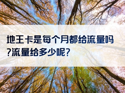 地王卡是每个月都给流量吗？流量给多少呢？