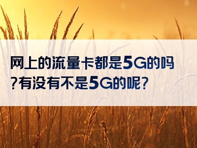 网上的流量卡都是5G的吗？有没有不是5G的呢？