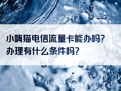 小嗨猫电信流量卡能办吗？办理有什么条件吗？