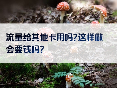 流量给其他卡用吗？这样做会要钱吗？