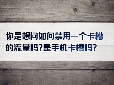 你是想问如何禁用一个卡槽的流量吗？是手机卡槽吗？