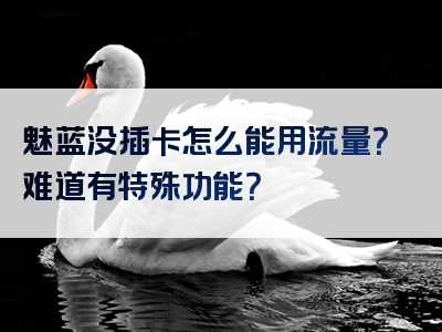 魅蓝没插卡怎么能用流量？难道有特殊功能？